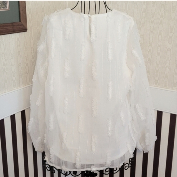 SHEIN Swiss Dot Long Sleeve White Top Size Small - Picture 3 of 8